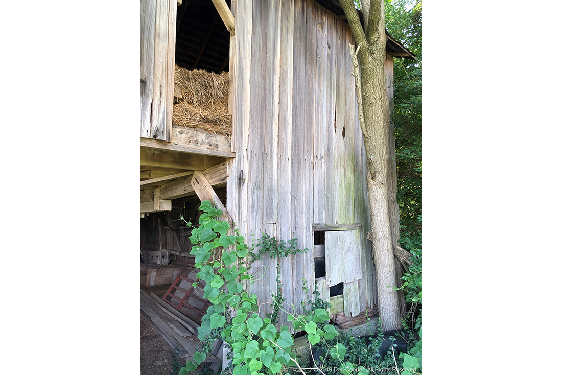 Barn Back Yonder